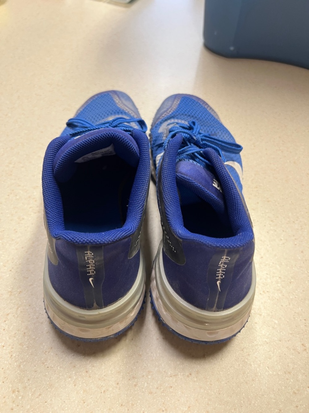 Nike Royal Blue Athletic Sneakers with White Swoosh